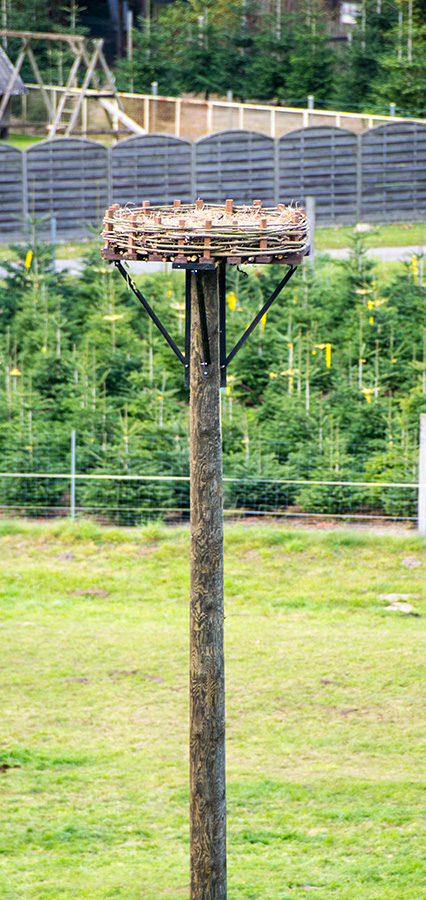 Firma Zang errichtet ein Storchennest in Brome